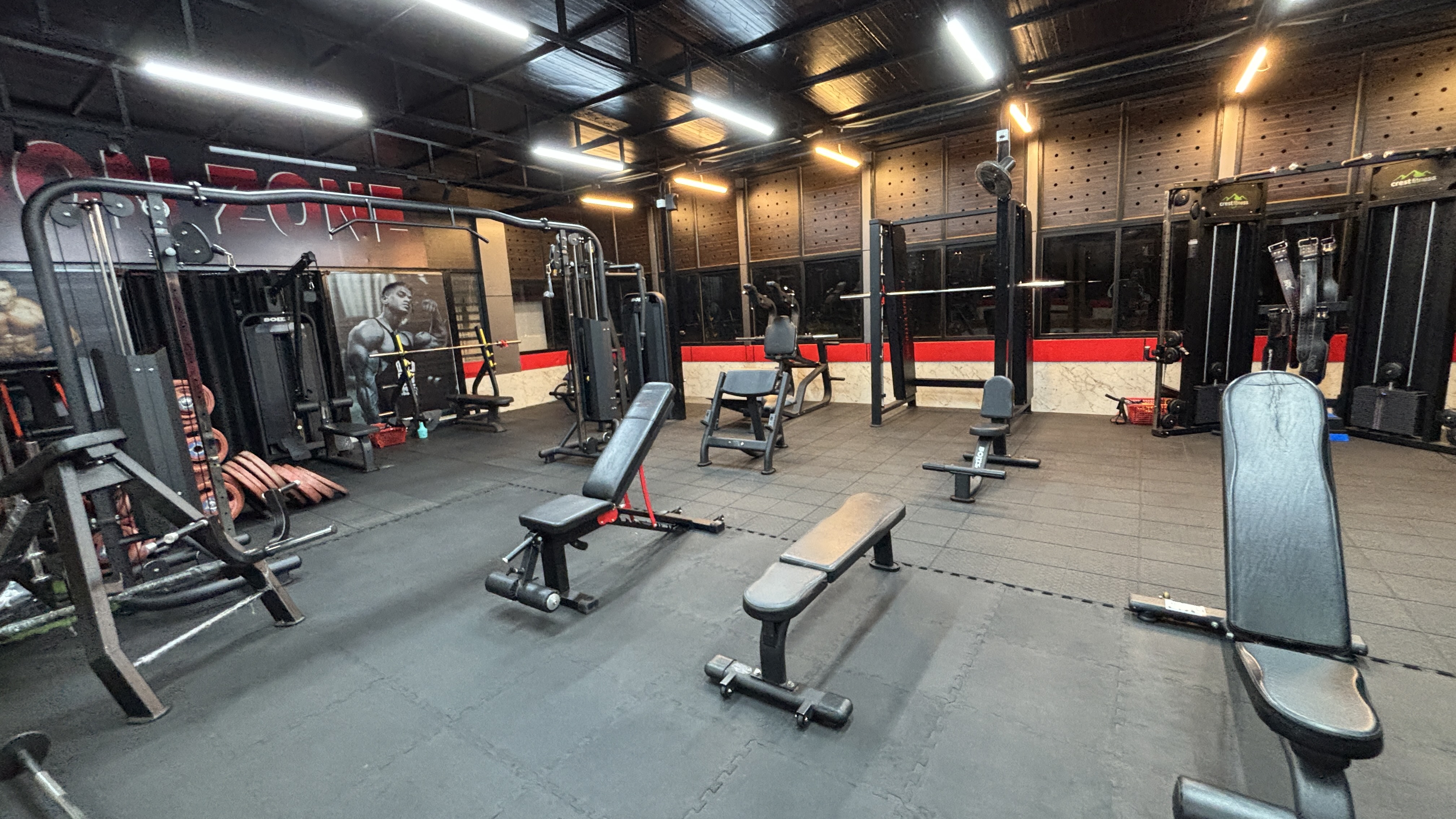 Iron Zone Gym - Cardio Zone