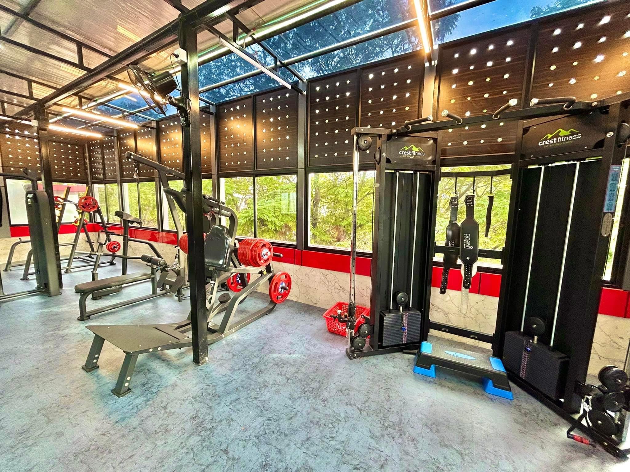 Iron Zone Gym - Premium Equipment