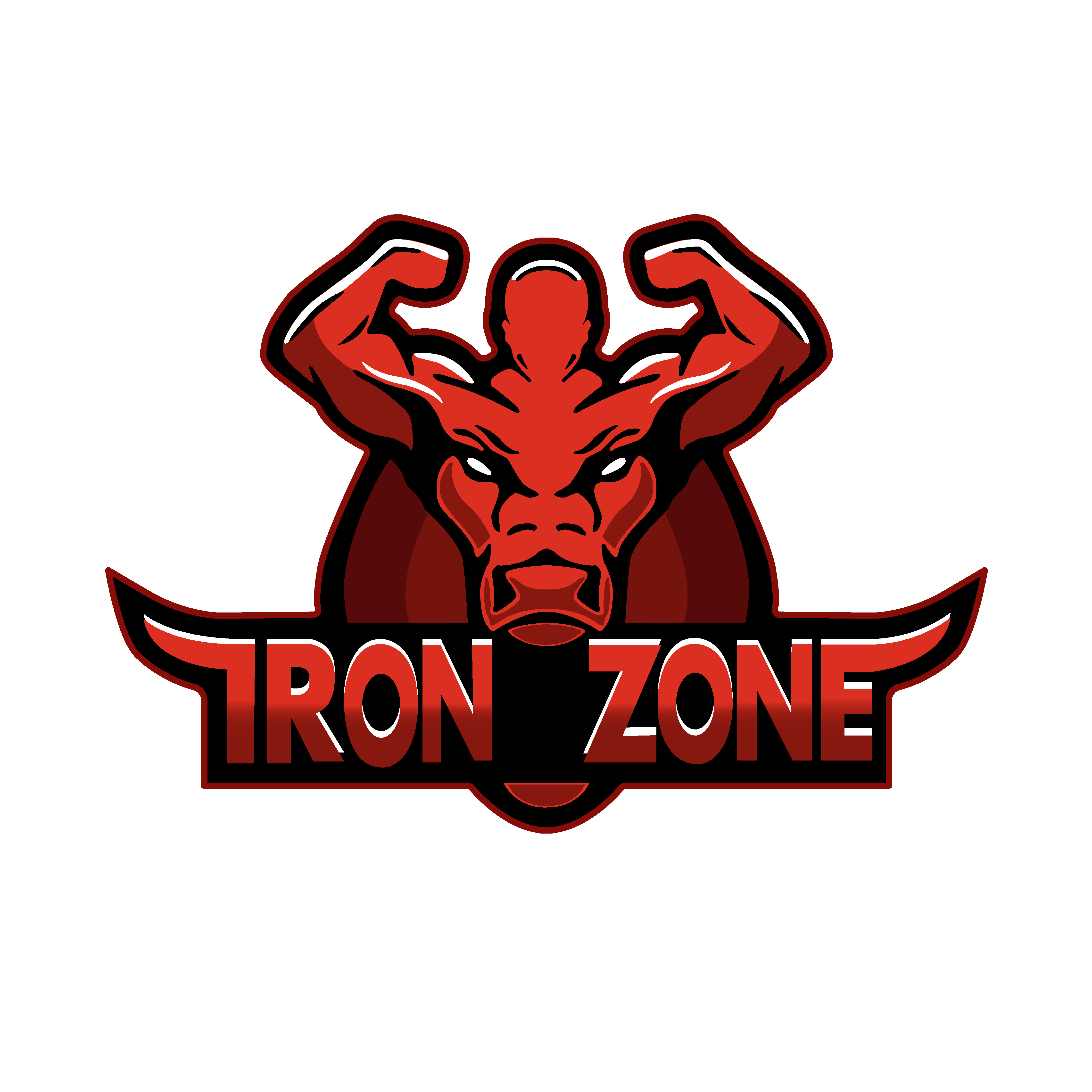 Iron Zone Logo